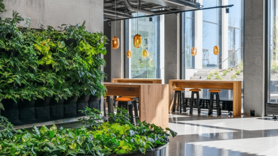 How Circularity Can Reduce Waste in Construction 