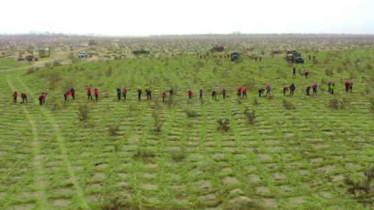 How the World’s Largest Fintech Company is Greening China