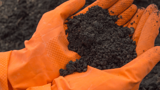 World‘s Soils Currently “Under Great Pressure”, says UN Pollution Report