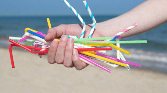 New Zealand Plans to Phase Out Most Single Use Plastics by 2025